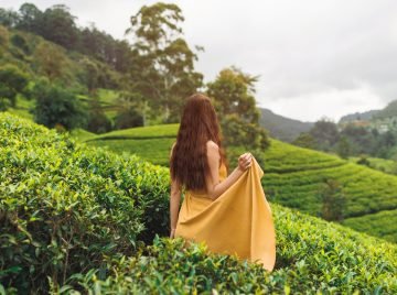 Woman Traveler Trip to the Tea Plantations in Nuwara Eliya, Sri Lanka